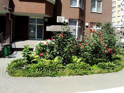 квартира за адресою Композитора Мейтуса вул., 4-А