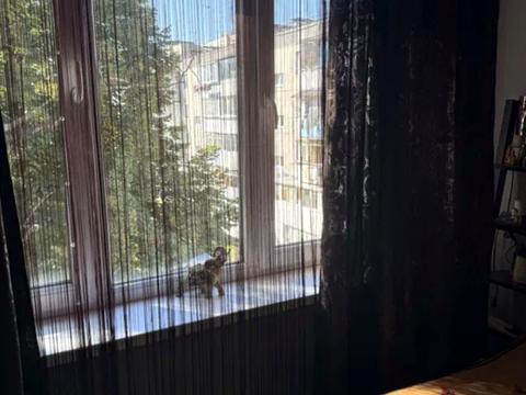 квартира по адресу Владимира Великого ул. (Артема), 71