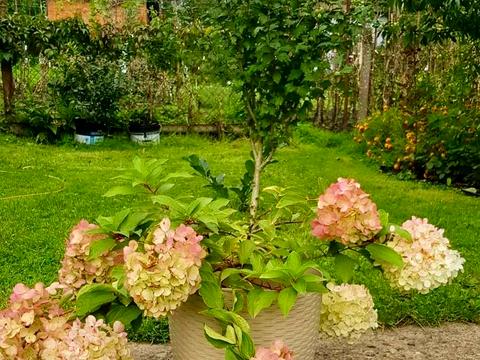 дом по адресу Стефаника В, 41