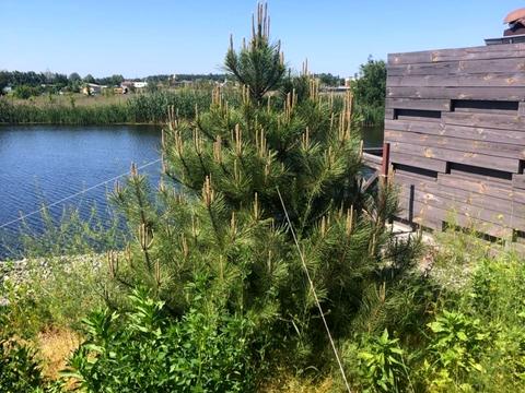 будинок за адресою Надії