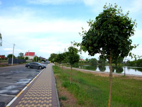 ділянка за адресою Ярова вул. (Червоноармійська), 9