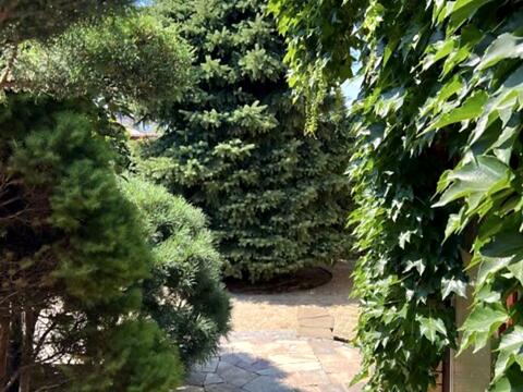 дом по адресу Михаила Драгоманова ул. (Димитрова), 29 д
