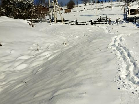 участок по адресу Тараса Шевченка ул.