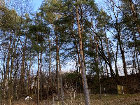 участок по адресу 3-й Заозёрный пер.