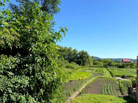 участок по адресу лукашевича