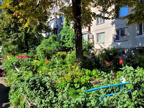 квартира за адресою Київ, Голосіївський просп. (40-річчя Жовтня), 15-Б