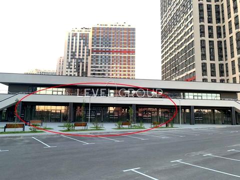 комерційна за адресою Олександра Олеся вул., 8а