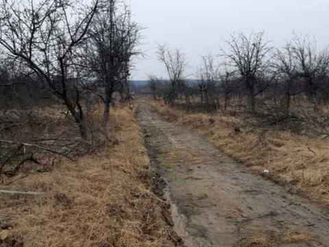 ділянка за адресою Зоряна