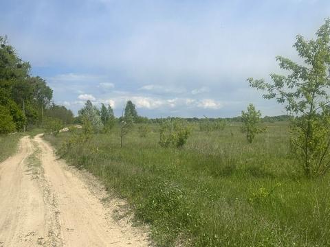 ділянка за адресою с. Нові Петрівці, 