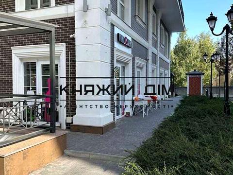 комерційна за адресою Михайла Максимовича вул. (Онуфрія Трутенка), 24