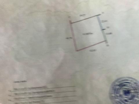 будинок за адресою куща