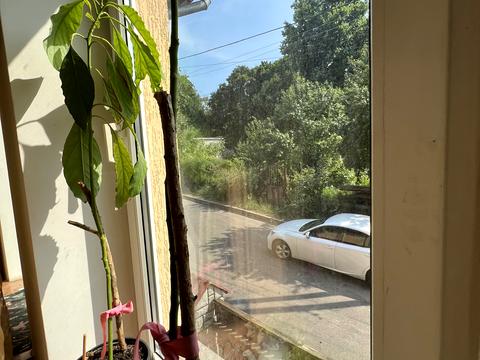 будинок за адресою Кутова вул.