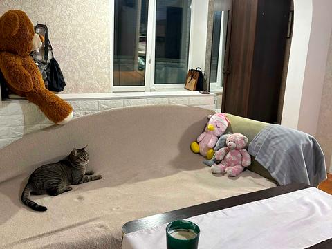 кімната за адресою Грушевського, 7