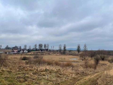 ділянка за адресою Шкільна