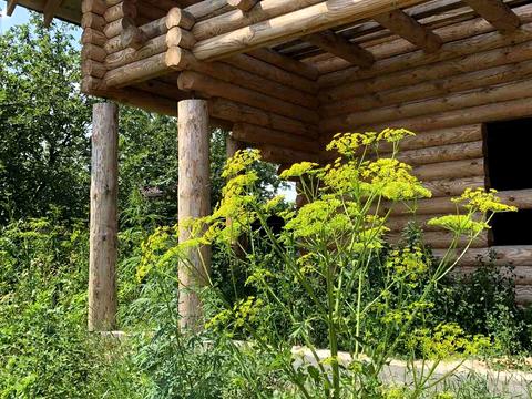 ділянка за адресою Грушевського