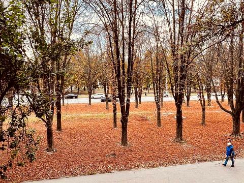 квартира за адресою Івана Мазепи вул. (Калініна), 42