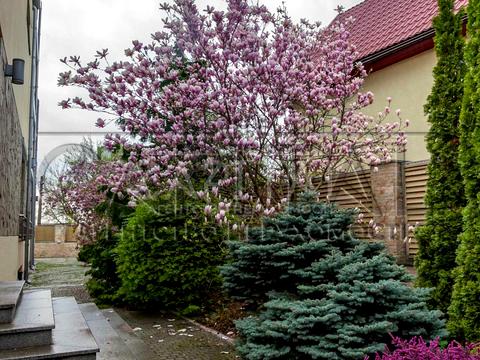 будинок за адресою Звіринецька вул.