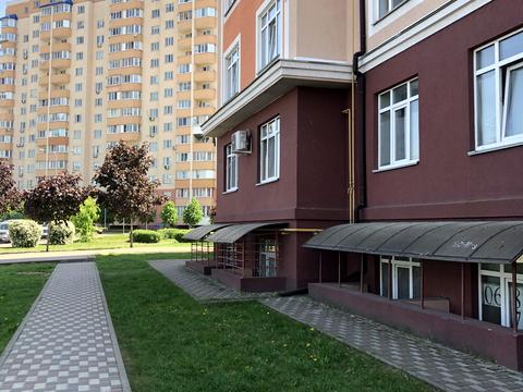 комерційна за адресою Богдана Хмельницького бульв., 19