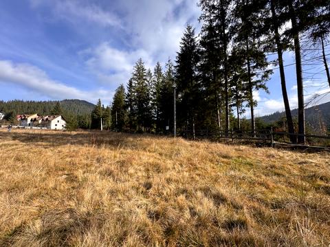 ділянка за адресою Карпатська