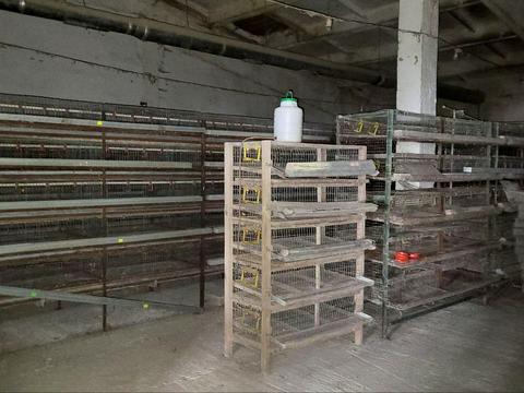 комерційна за адресою с. Новий Білоус, проточна, 9