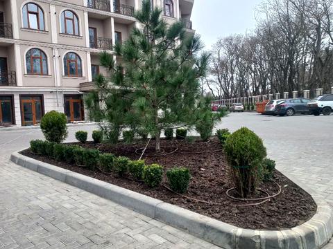 квартира за адресою Дача Ковалевського вул., 91