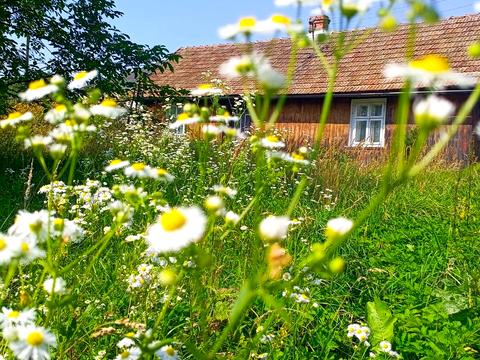 участок по адресу Містки