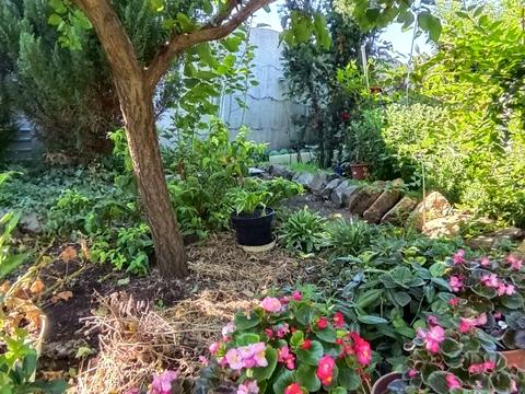 дом по адресу комунальна