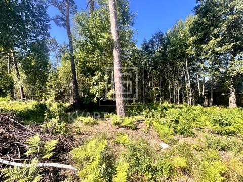 ділянка за адресою Соборності