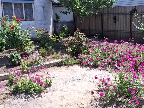 будинок за адресою Щитова вул.