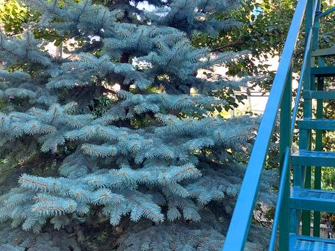 будинок за адресою Павла Шклярука вул., 3