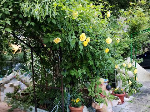 квартира по адресу Бориса Чичибабина ул., 5