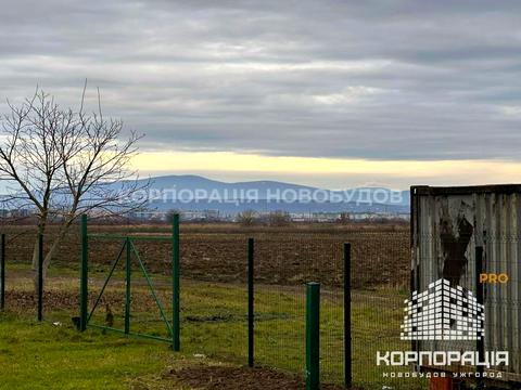 дом по адресу Колоскова