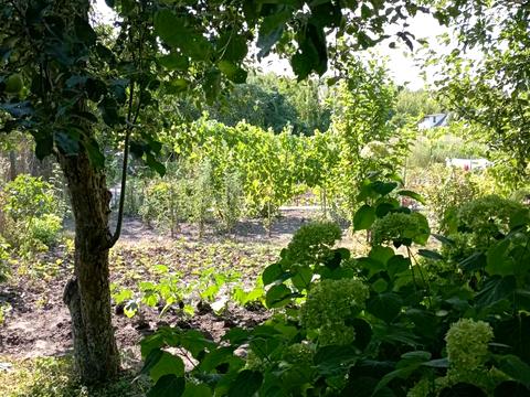 будинок за адресою с. Хвильово-Сорочин, Перемоги