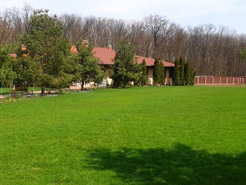 будинок за адресою с. Хотів, Лісова вул.