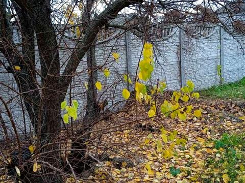 будинок за адресою біліченко, 9