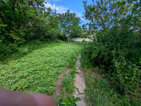 дом по адресу Володимирський пр, 24