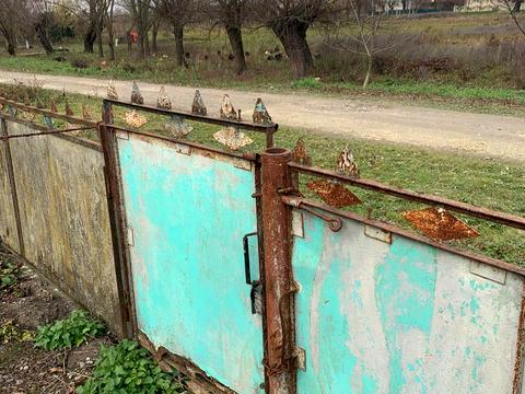 дом по адресу Франка, 30