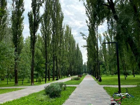 квартира за адресою Олени Теліги вул., 25