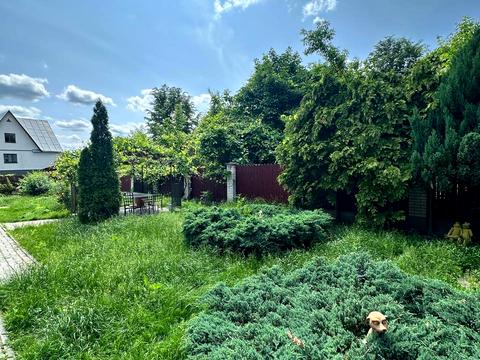 комерційна за адресою Політехнічний пров., 4
