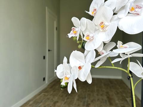 будинок за адресою Ірпінь, Незалежності, 31 Г