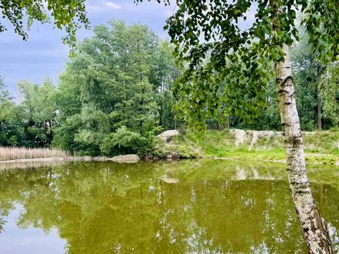 будинок за адресою Залужний пров., 10