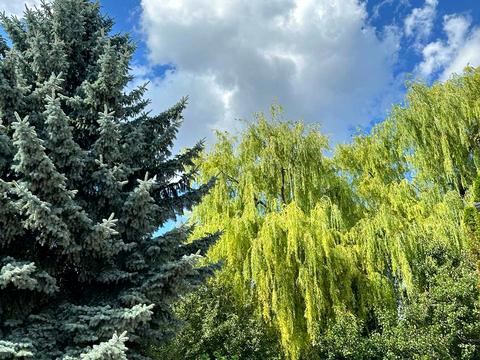будинок за адресою Зарічна