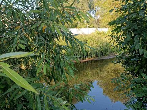 ділянка за адресою другий провулок незалежності