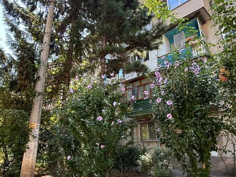 квартира по адресу Ивана и Юрия Лип ул. (Гайдара), 40