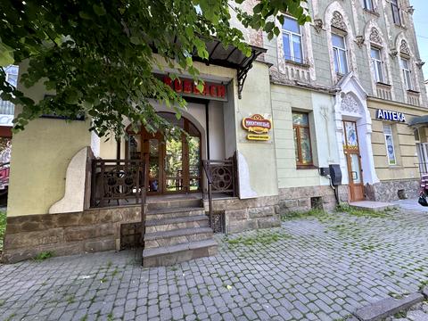 комерційна за адресою Гетьмана Мазепи вул., 48