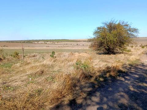 будинок за адресою Веселая, 2