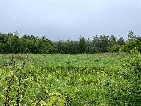 ділянка за адресою с. Пашківці, 