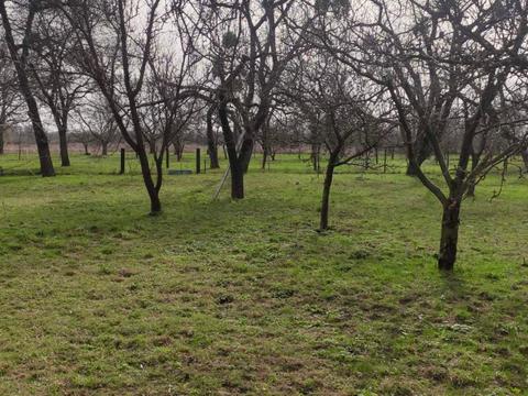будинок за адресою Мізяківські Хутори