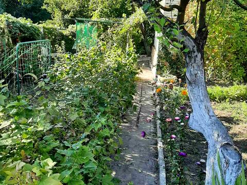 будинок за адресою Доватора