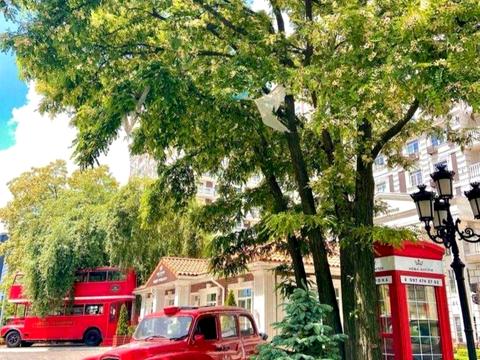 квартира по адресу Михаила Максимовича ул. (Трутенко Онуфрия), 26